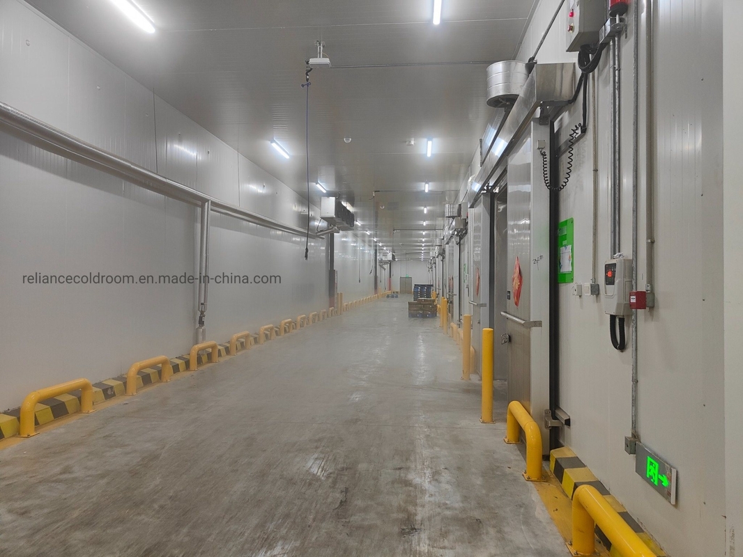 Customization Walk-in Cooler Refrigeration Cold Storage Freezer with Freon Refrigerant