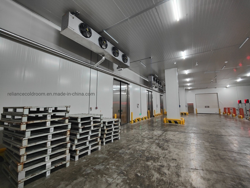 Customization Walk-in Cooler Refrigeration Cold Storage Freezer with Freon Refrigerant