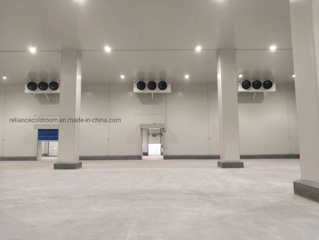 Customization Walk-in Cooler Refrigeration Cold Storage Freezer with Freon Refrigerant