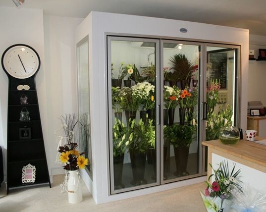 Scroll Compressor Walkin Freezer Commercial Glass Door Freezer with -0.4f Temperature