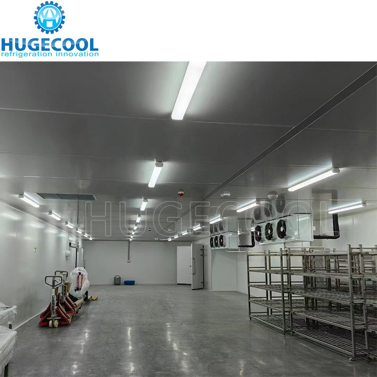 Walk in Freezer Cold Chamber with Assembled Structure and 220V/380V/400V/440V Voltage