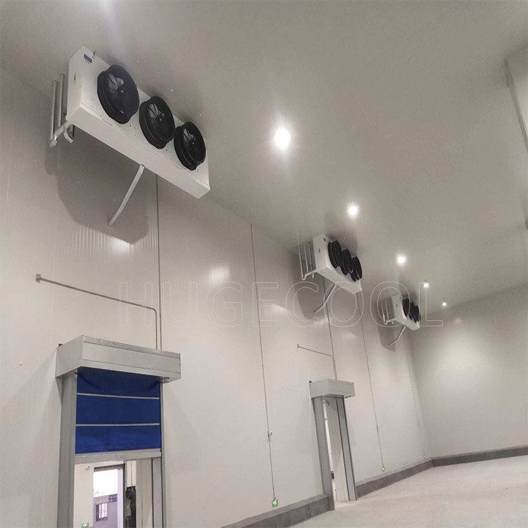 Medium-Sized Commercial Walk in Freezer and Cooler Combo Easy Installing Cold Room