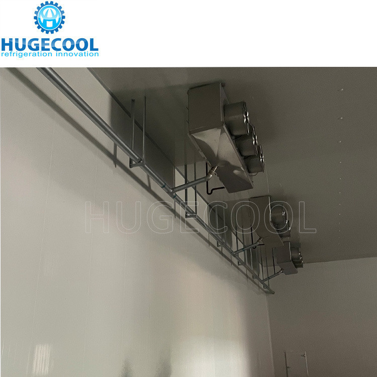 Small Medium Large Size Cold Storage Room for Fresh Meat Refrigeration Customization