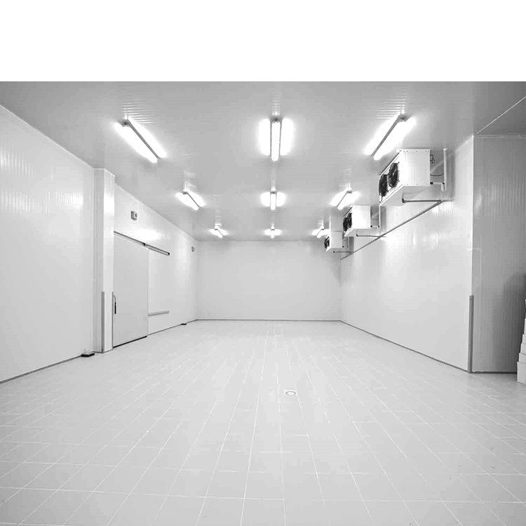 220V/380V/440V Walk-in Freezer Cold Storage Room For Meat And Fruit In Customized Design