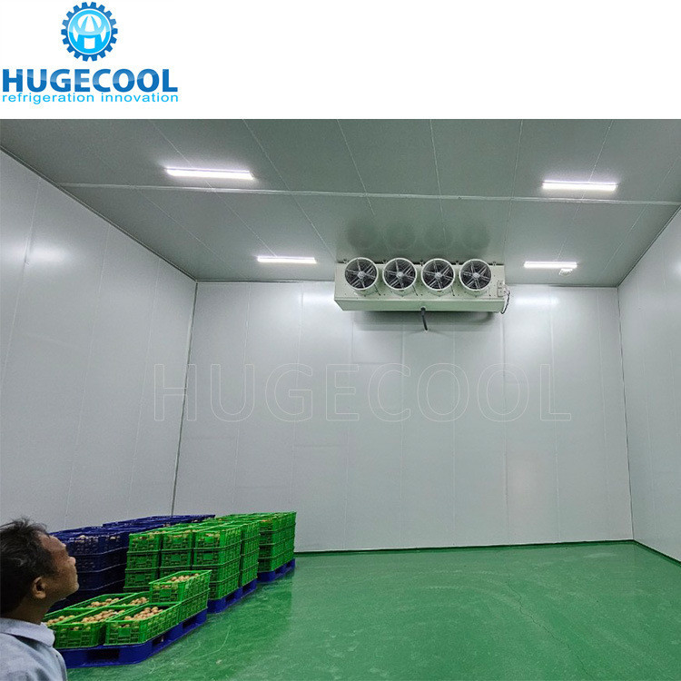 Customized Request 200mm Thickness Onion Storage Room with Rack and Condensing Unit