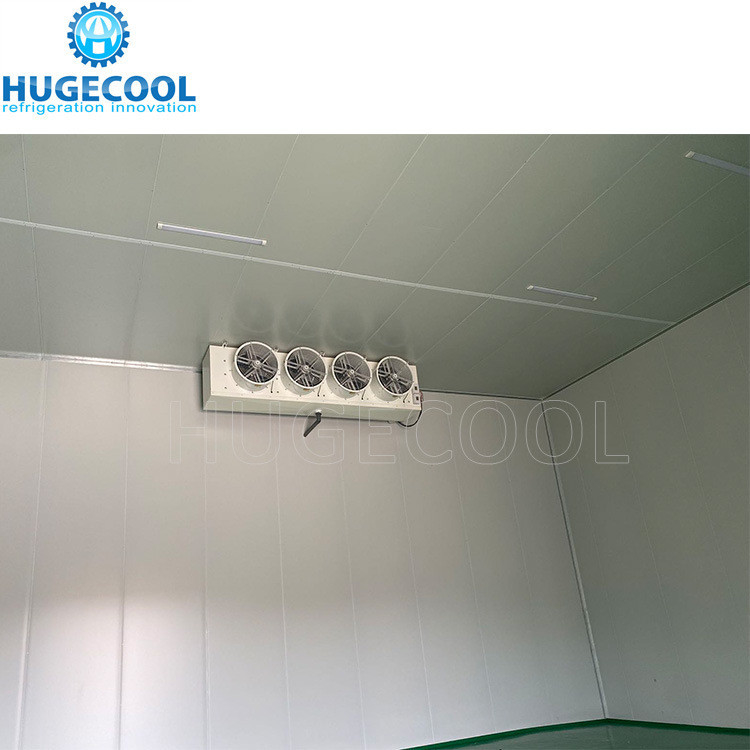 Customized Request 200mm Thickness Onion Storage Room with Rack and Condensing Unit