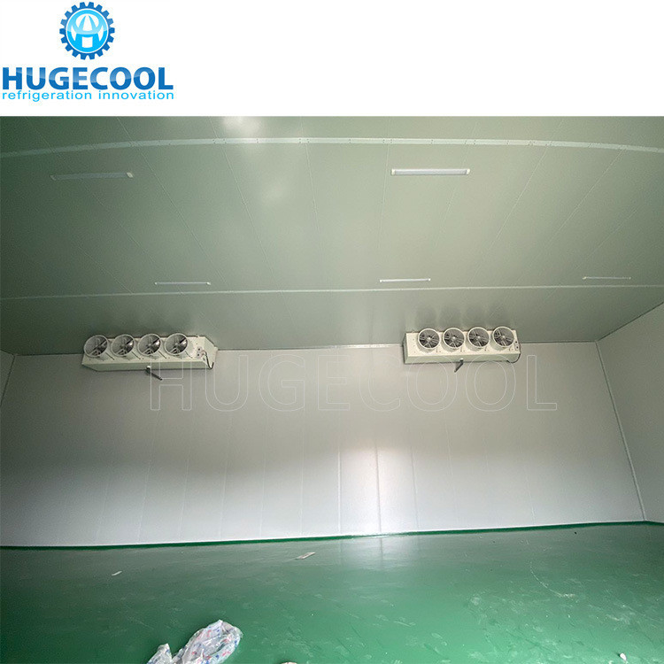 Customized Request 200mm Thickness Onion Storage Room with Rack and Condensing Unit