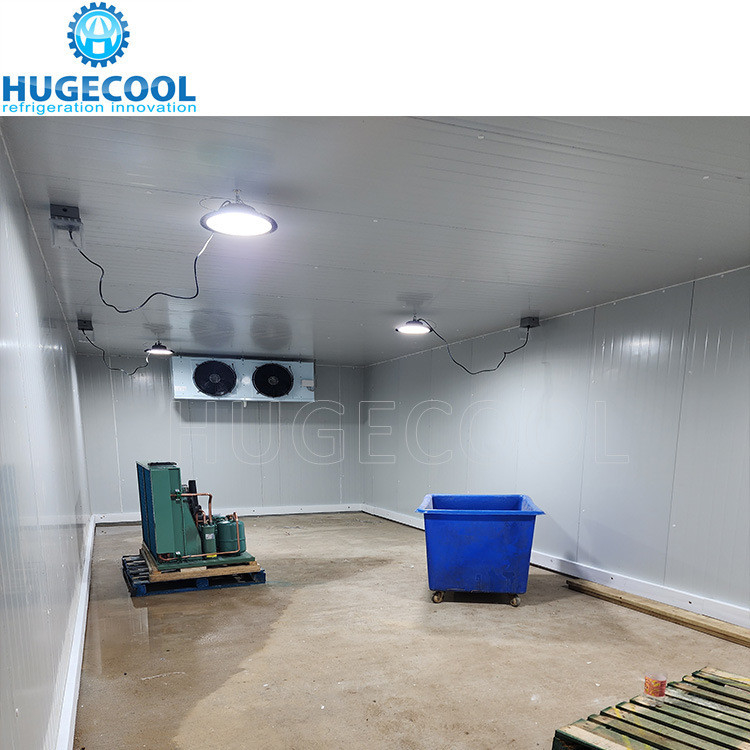 Cold Room System for Ice Cream in Logistics Centers Insulated Cooling and Freezing Room
