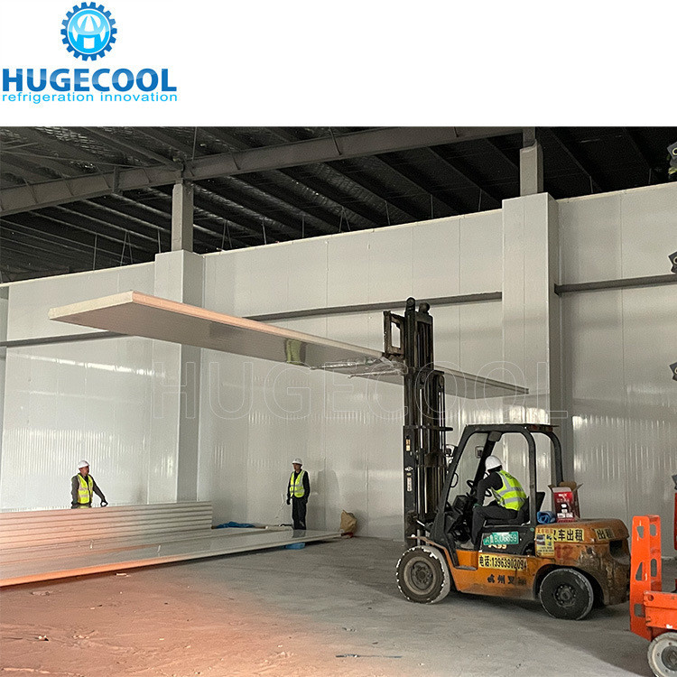 Online Service for Walk-in Modular Cool Chiller Cold Storage Freezer Room Refrigeration