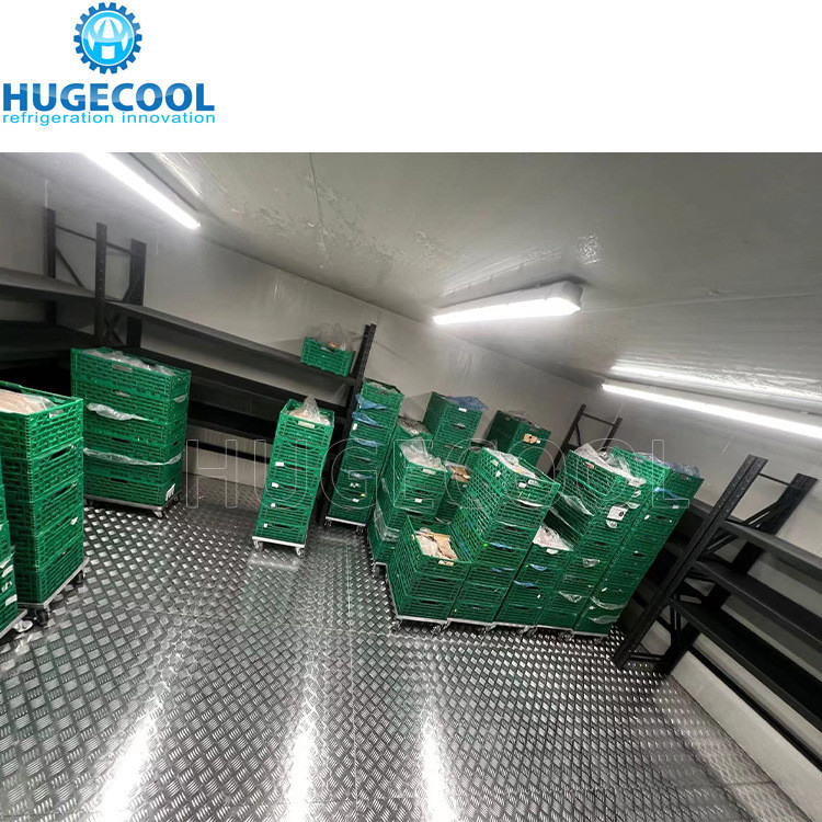 Industrial 20FT Cold Storage Room with Refrigeration Unit Optimal Cooling Performance