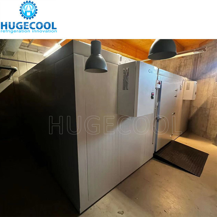 Industrial 20FT Cold Storage Room with Refrigeration Unit Optimal Cooling Performance